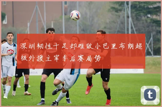 深圳韧性十足却难敌小巴里布朗超级外援主宰季后赛局势