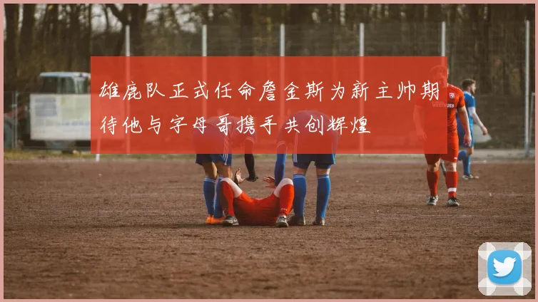 雄鹿队正式任命詹金斯为新主帅期待他与字母哥携手共创辉煌